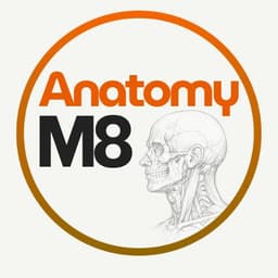AnatomyM8